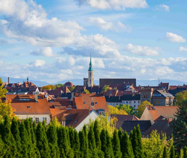 Görlitz führt Papilio ein: Jetzt anmelden